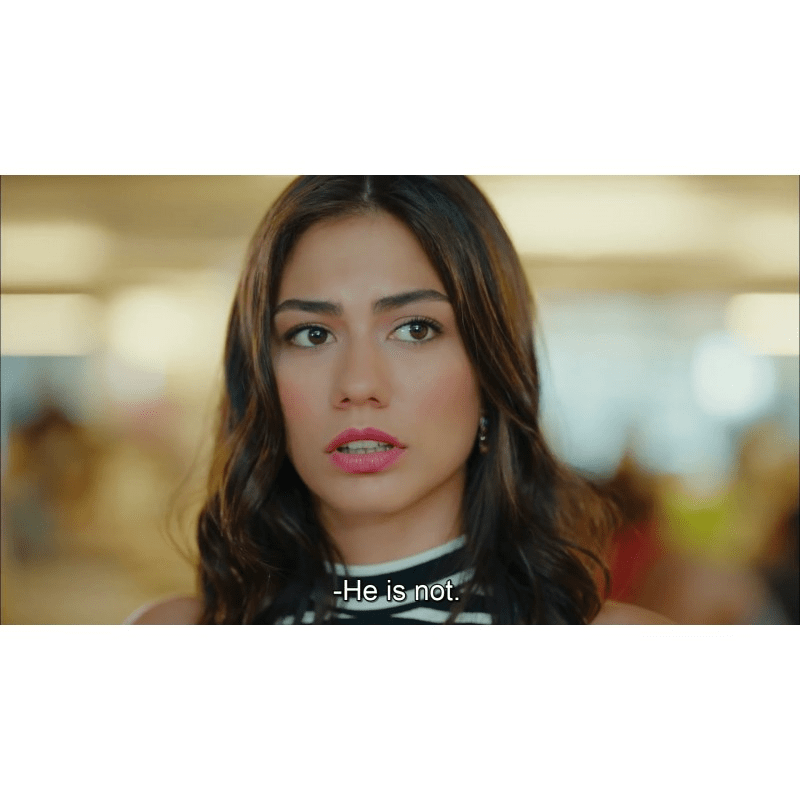 Demet Ozdemir TV Series Collection with Subtitles (6 - in - 1 Pack) *USB Flash Drive* Adim Farah - Erkenci Kus - Cilek Kokusu - No: 309 - Dogduğun Ev Kaderindir - Turkish TV Series