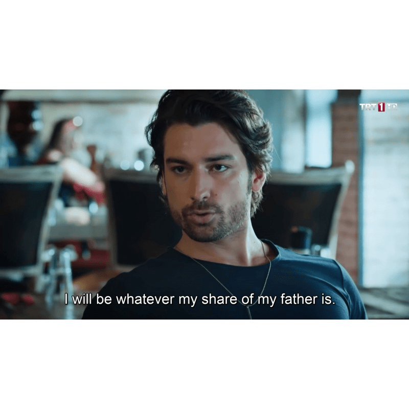 Elimi Birakma (Hold My Hand) * All Seasons * All Ep. (59 Ep.) Full HD 1080p * Eng - De - Fr - Ita - Spa Subs in USB *No Ads - Turkish TV Series