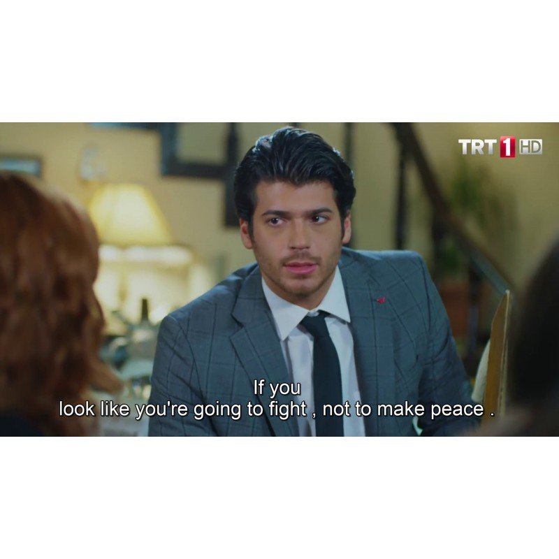 Hangimiz Sevmedik (Which of us Didn't Love) * All Seasons * All Episodes (40 Episodes) Full HD * English / Italiano / Spanish / Deutsch / French Subtitles in USB * No Ads - Turkish TV Series