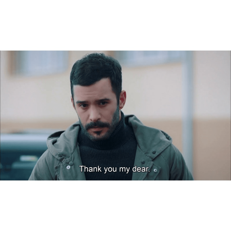 Kuzgun (The Raven) - All Seasons, All Episodes (21 Episodes) Full HD 1080p with Multi - Language Subs on USB - Ad - Free - Turkish TV Series