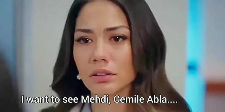 My Home My Destiny (Doğduğun Ev Kaderindir) - Full Episodes with English, Spanish, and Italian Subtitles - Turkish Drama - Turkish TV Series