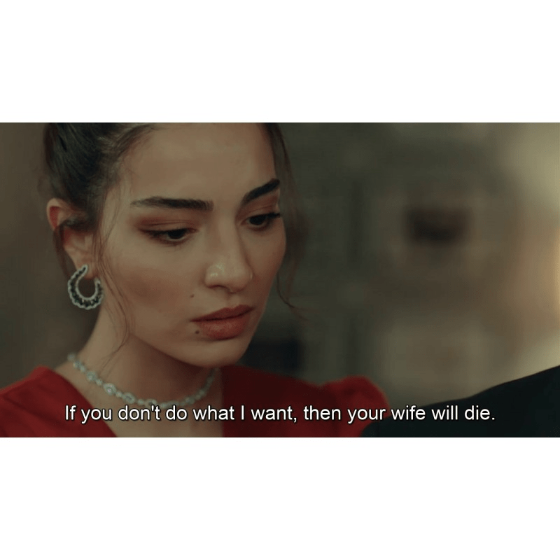 Yeni Hayat (New Life) * All Seasons * All Episodes (9 Episodes) Full HD 1080p * Eng - De - Fr - Ita - Spa Subs in USB *No Ads - Turkish TV Series