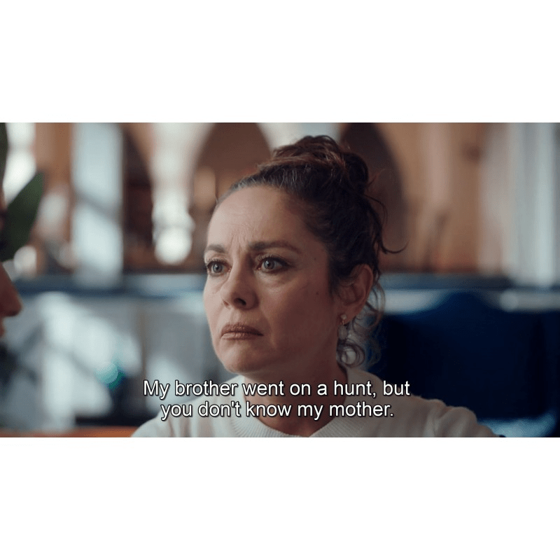 Gulcemal – All Seasons & Episodes (13 Episodes) Full HD 1080p – USB with English, Italian, Spanish, German, French Subtitles – No Ads - Turkish TV Series