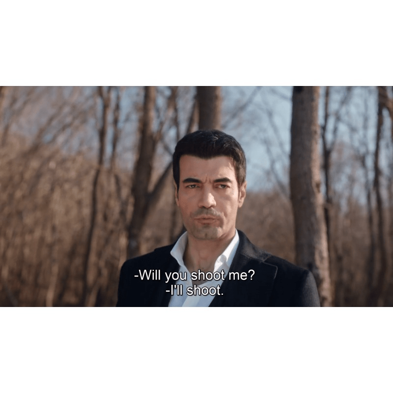 Gulcemal – All Seasons & Episodes (13 Episodes) Full HD 1080p – USB with English, Italian, Spanish, German, French Subtitles – No Ads - Turkish TV Series