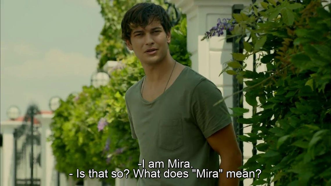 Çağatay Ulusoy Collection (8-in-1 Pack) – Complete Turkish Drama Series | USB Flash Drive | Full HD 1080p + English, German, French, Italian, Spanish Subtitles | No Ads